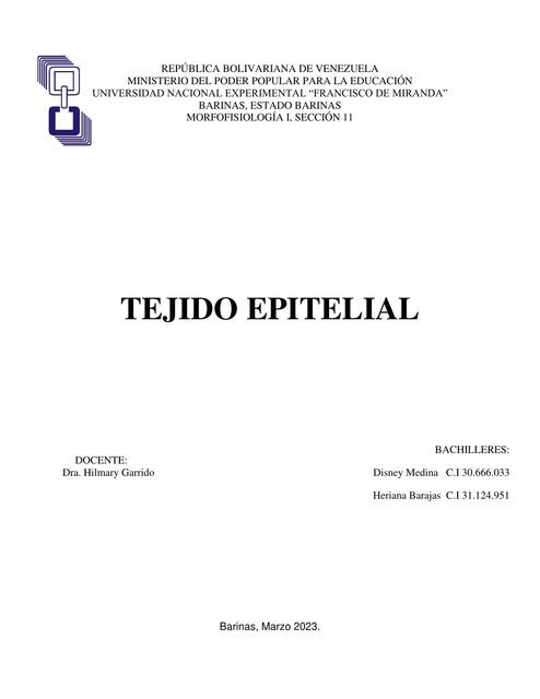 Tejido Epitelial 