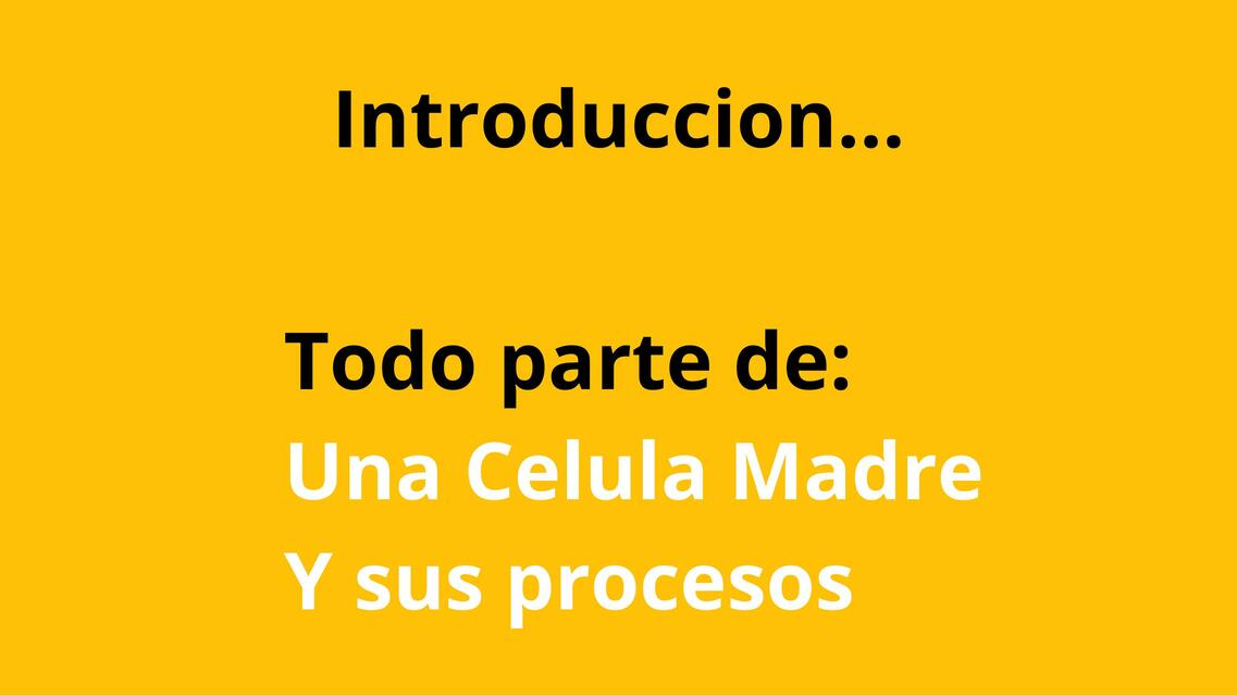 Célula Madre y sus Procesos 