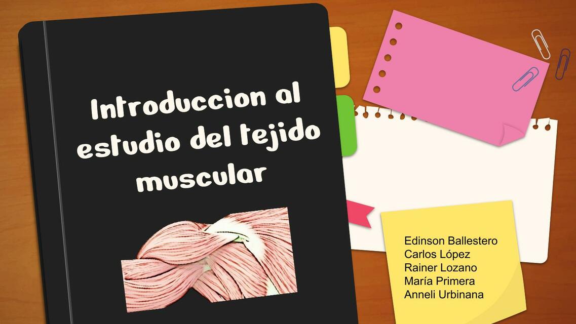 Introducción al Estudio del Tejido Muscular 