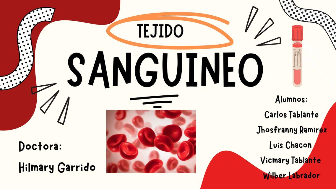 Tejido Sanguíneo 