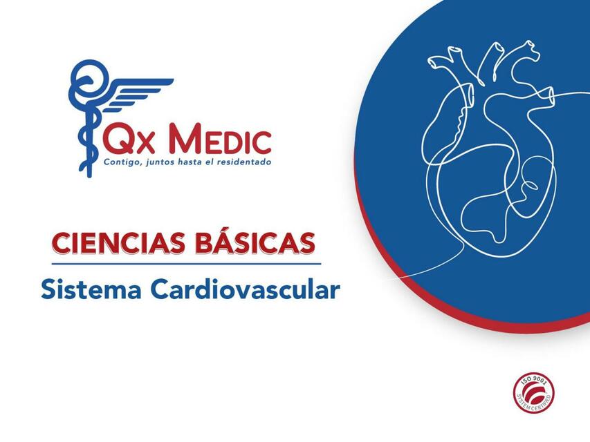 Sistema Cardiovascular 