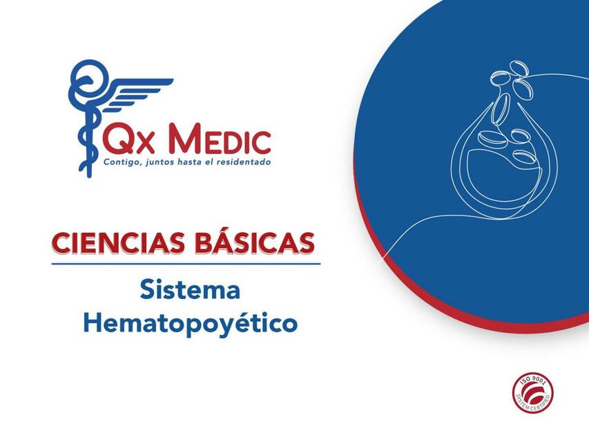 Sistema Hematopoyético PI