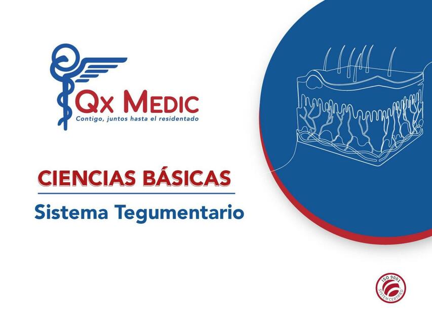 Sistema Tegumentario PI DERMATOLOGÍA