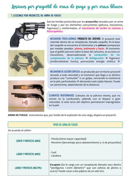 LESIONES POR PROYECTIL DE ARMA DE FUEGO Y POR AR | Monica Cochachin | uDocz