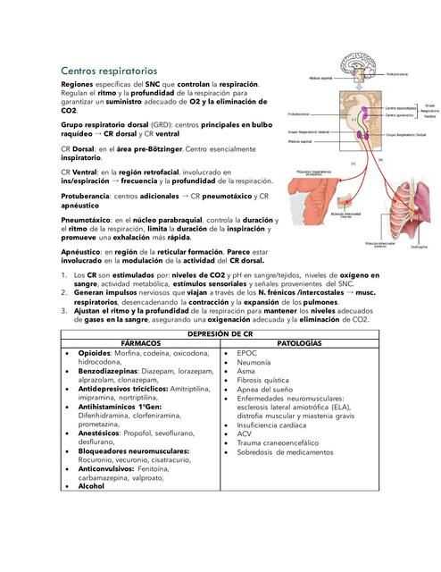 Centros Respiratorios y síntomas respiratorios