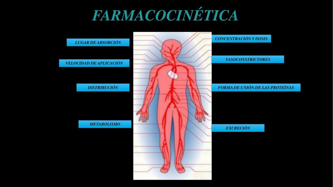 Farmacocinética 