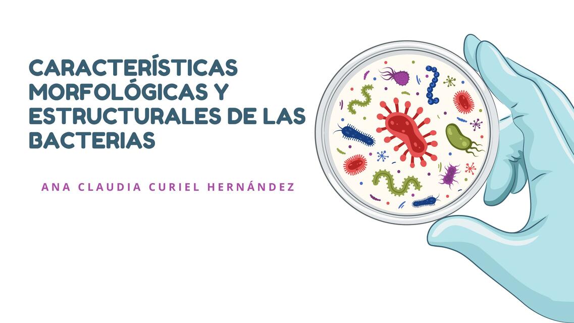 Morfologia y estructuras de las bacterias