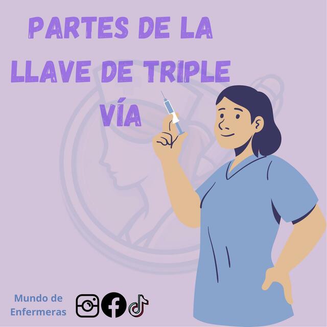 Partes de la llave de triple vía 