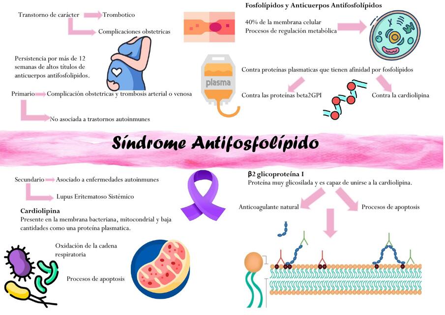 Síndrome antifosfolípido