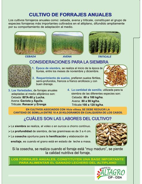 Cultivo de forrajes anuales