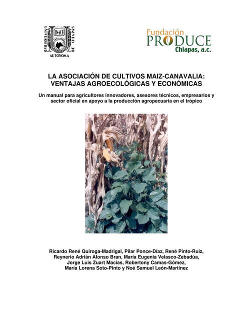 Manual Asociación de cultivo de maíz con canavalia