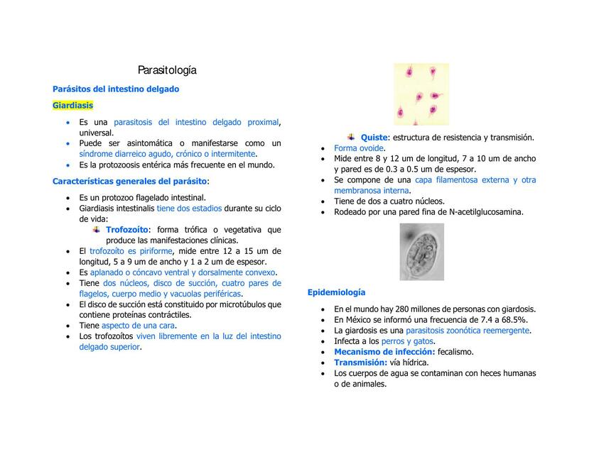 Parasitología parásitos del intestino delgado 