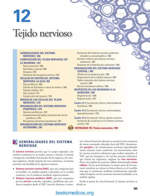 Capítulo 12 Tejido Nervioso Histología de Ross