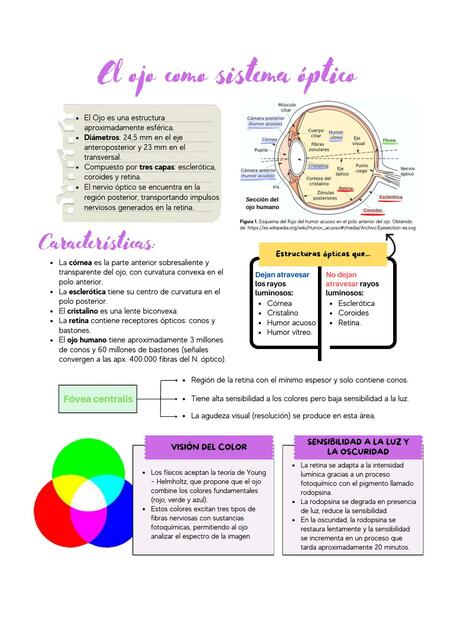 El ojo como sistema óptico