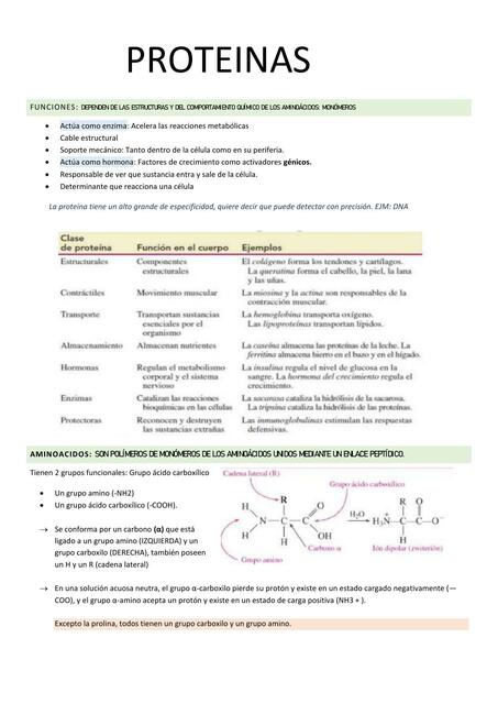 Proteínas 