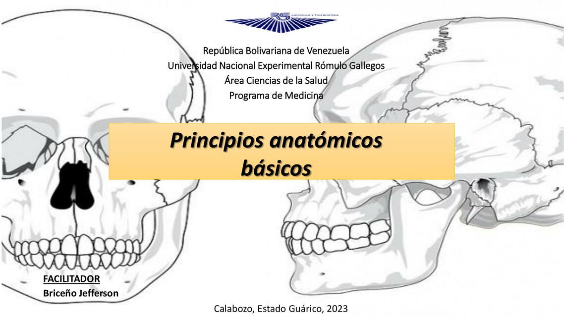 Principios anatómicos básicos