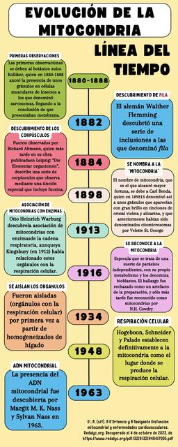 Evolución de la mitocondria 