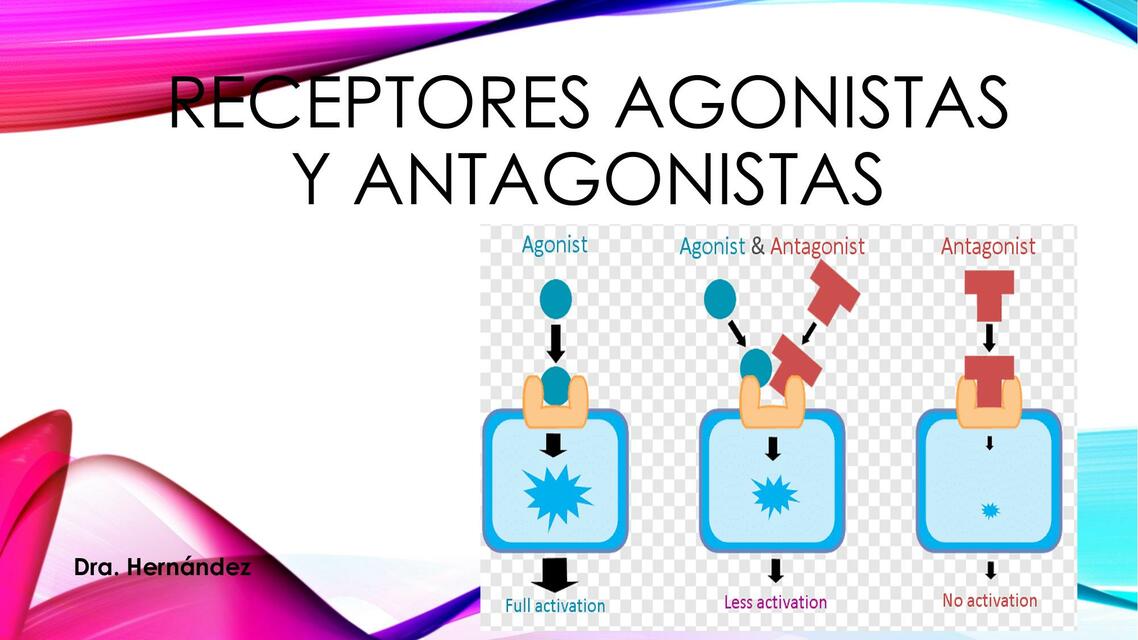 Receptores Agonistas y Antagonistas