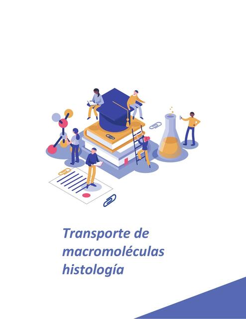 Transporte de macromoléculas histología