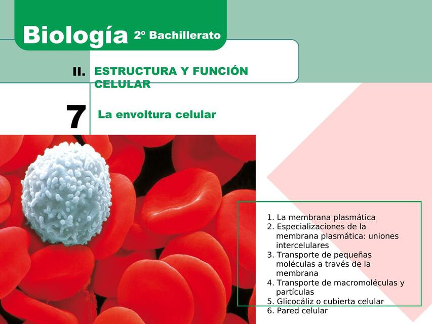 Estructura y función celular. La envoltura celular