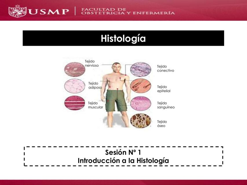 Histología 