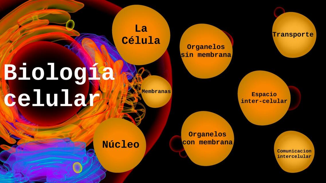 Biología Celular