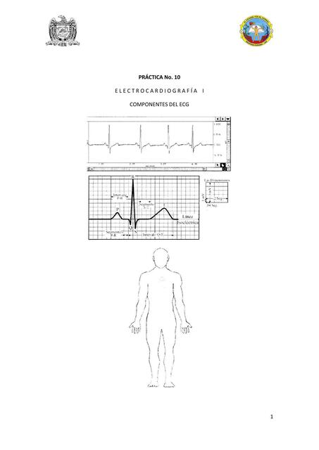 Práctica 10 Electrocardiografía 