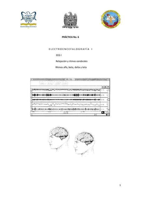 Práctica 6 Electrocardiografía 