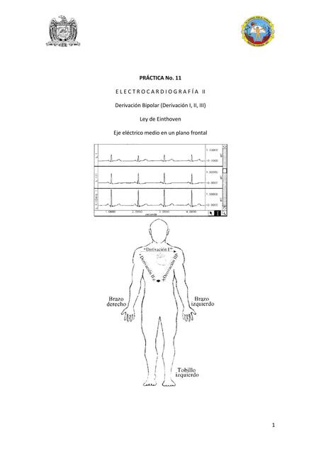 Práctica 11 Electrocardiografía 