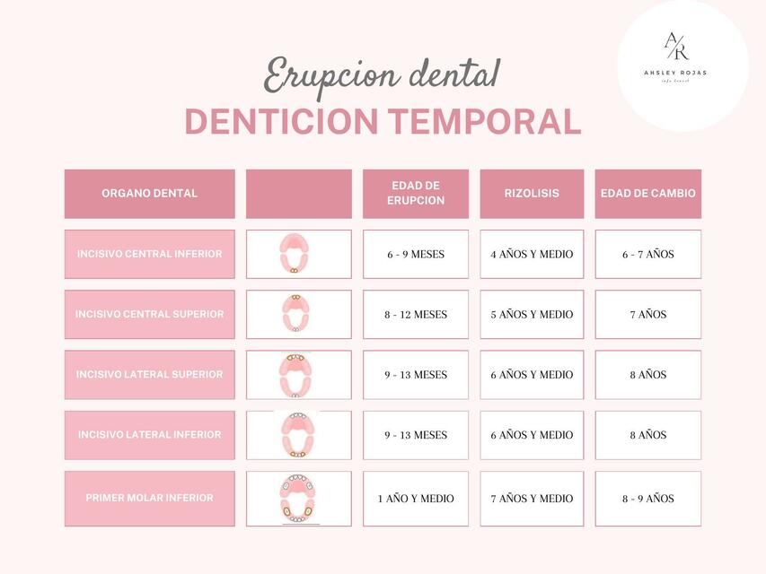 Erupción dentición temporal