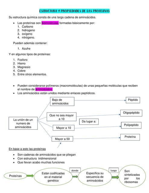 Estructura y Propiedades de las Proteínas 