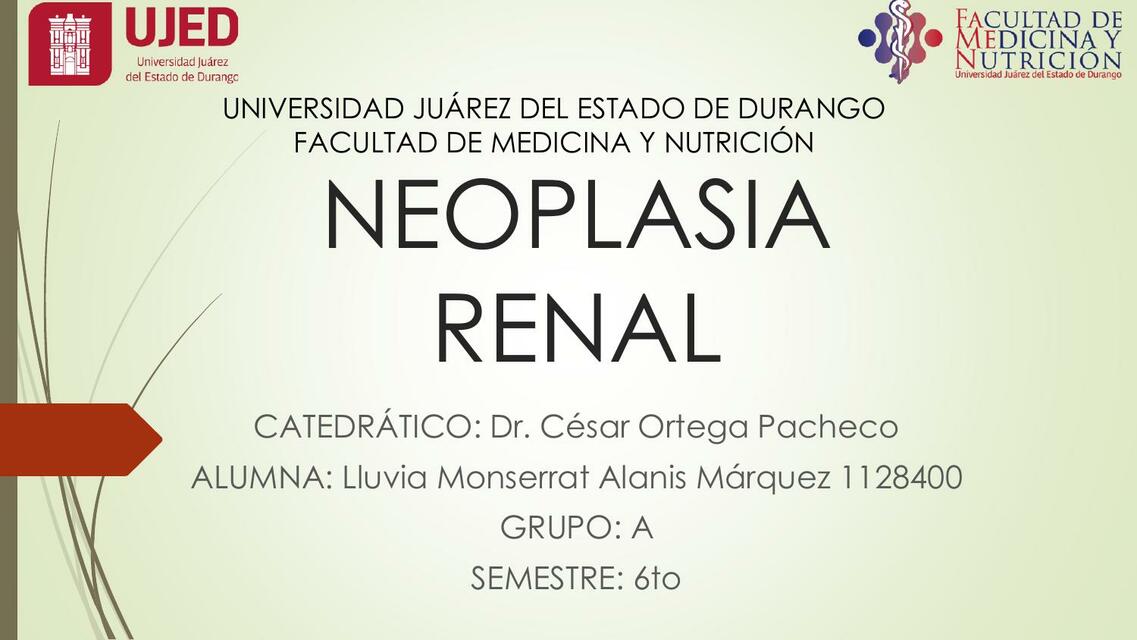 Neoplasia renal