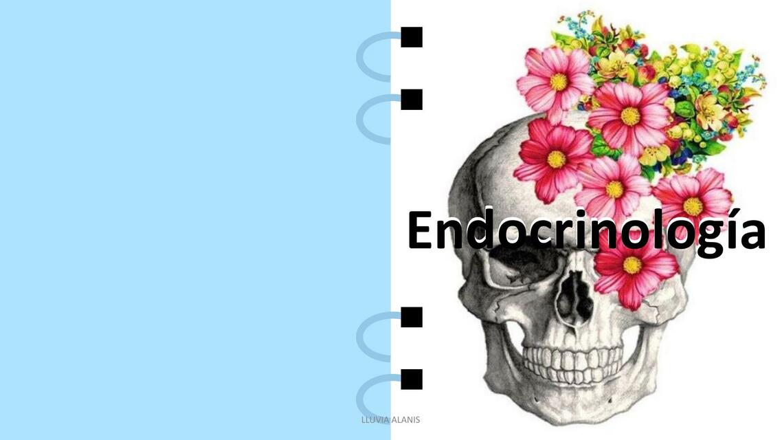 Endocrinología