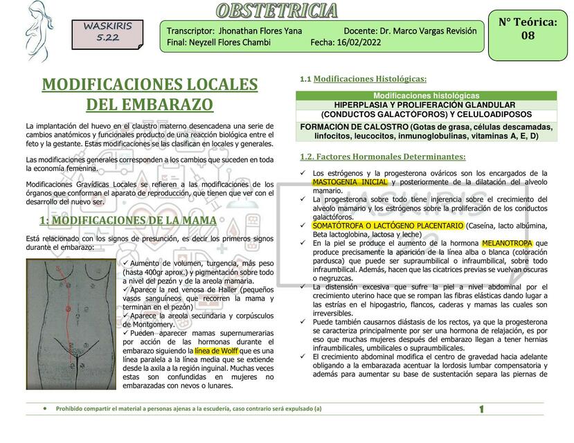 Modificaciones locales del embarazo