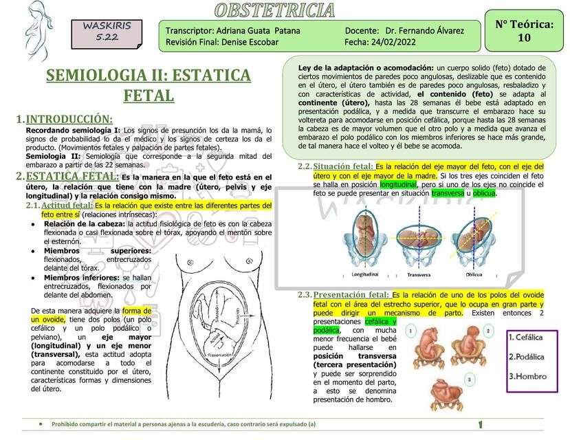 Semiología II estática fetal