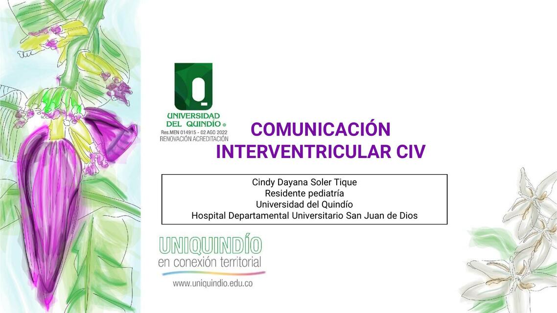 Comunicación Interventricular