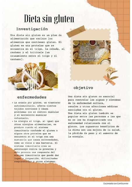 Dieta Sin Gluten 