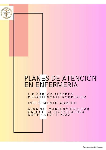 Planes de Atención en Enfermería 