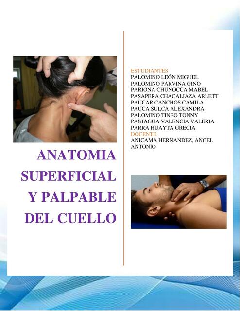 ANATOMIA SUPERFICIAL DEL CUELLO | Mabel ANATOMIA SUPERFICIAL DEL CUELLO | Mabel