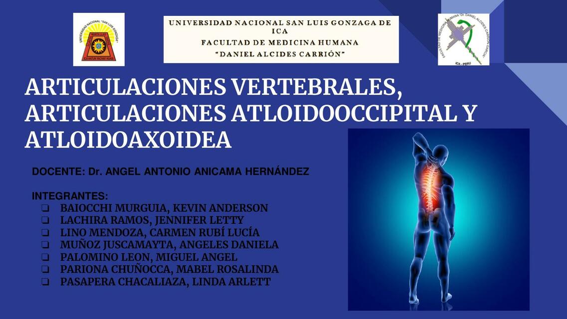 Anatomia articulaciones 1 Mabel Pariona Chuñocca uDocz