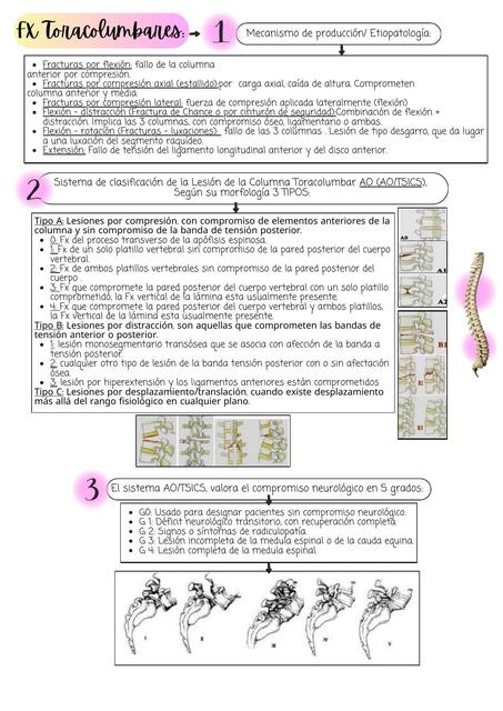 Fracturas de Columna Vertebral - Toracolumbares