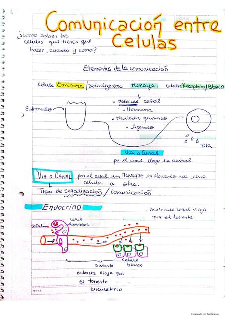 Comunicación entre Células