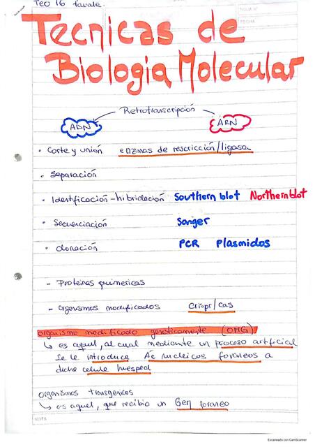 Técnicas de Biología Molecular