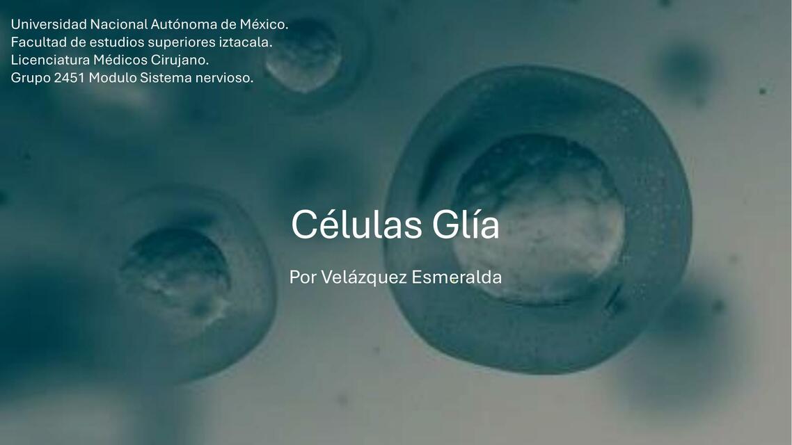 Células Glia