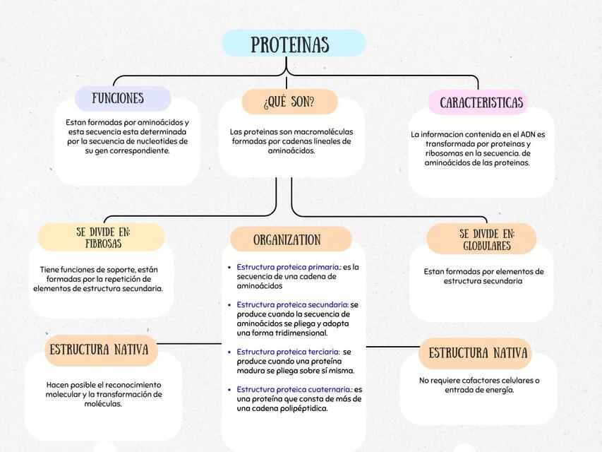 Proteinas