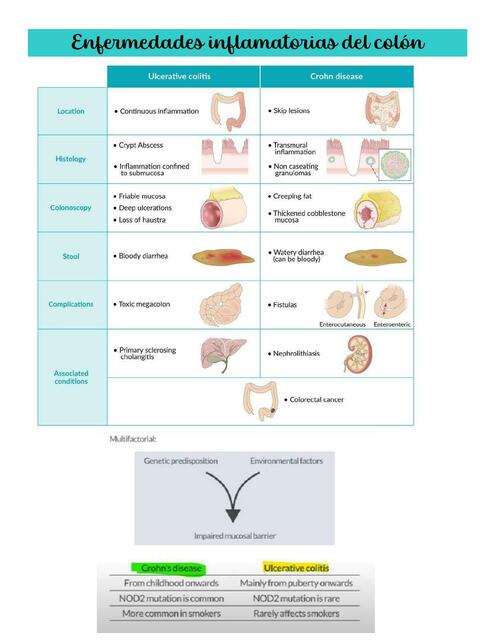 Enfermedades inflamatorias del colon