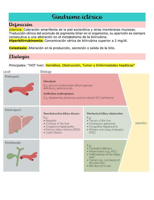 Síndrome ictérico