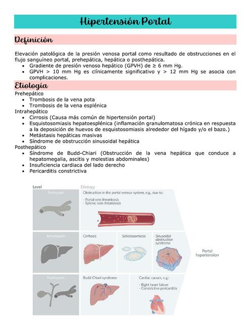 Hipertensión Portal