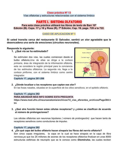 Vías olfatorias y estructuras relacionadas con el sistema límbico