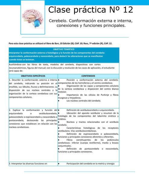 Cereberlo conformacion interna y externa 